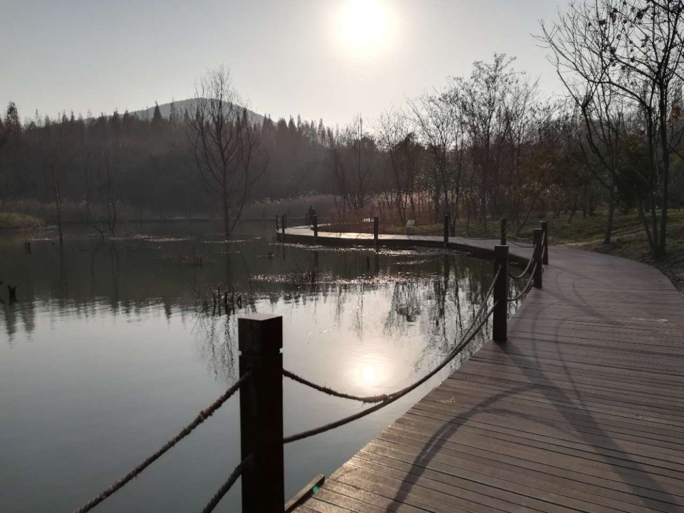 淮南湿地风光视频,淮南公园景点大全