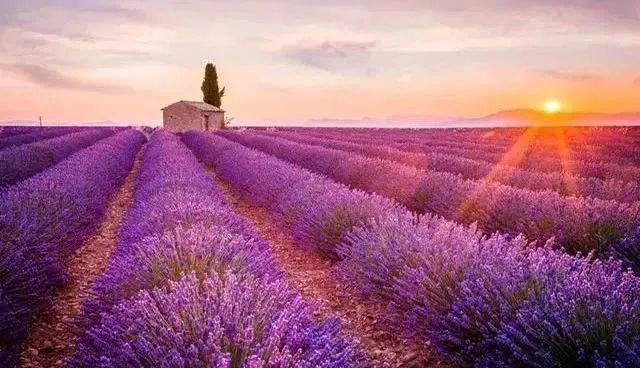 朗诵感恩有你的背景音乐,朗诵感恩有你背景视频