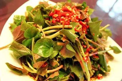 贵阳美食不放折耳根,与折耳根媲美的各省美食