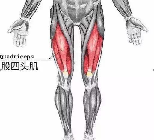 膝盖疼、老寒腿、长骨刺，关节炎了怎么办？45个短问，彻底讲清