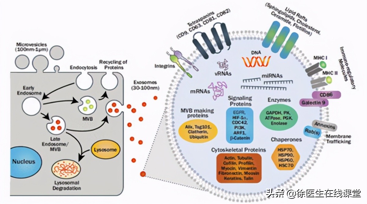 腹痛，肿瘤标志物高出几十倍，却查不出病因，这该怎么办？