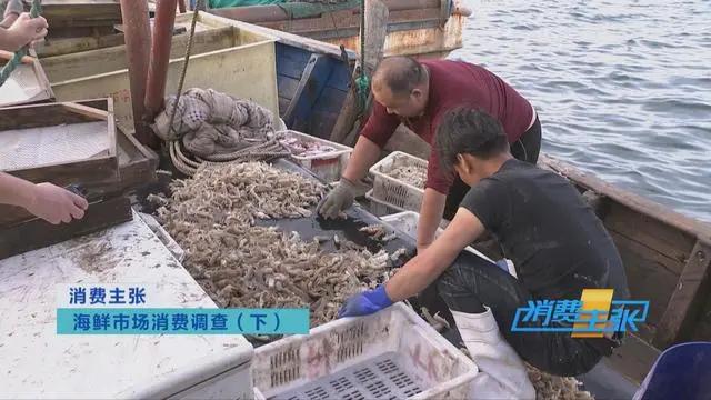 三亚海鲜市场皮皮虾多少钱一斤,海鲜市场上的皮皮虾
