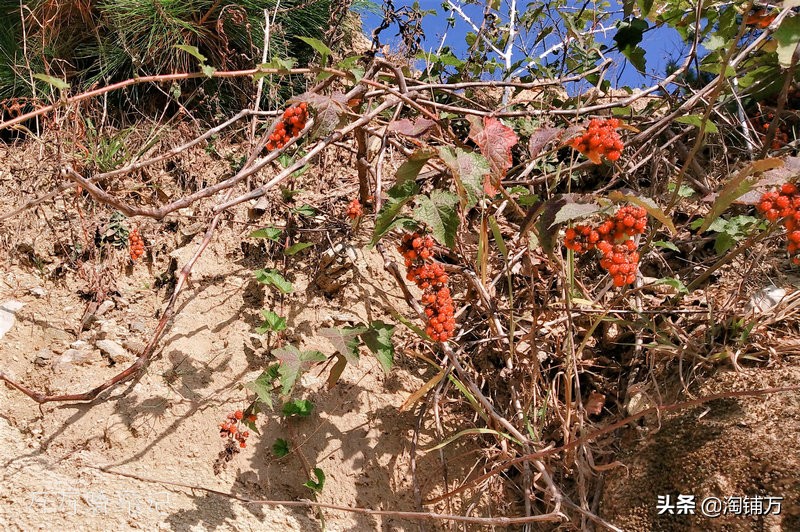 趁青春多折腾,趁着年轻四处游一游