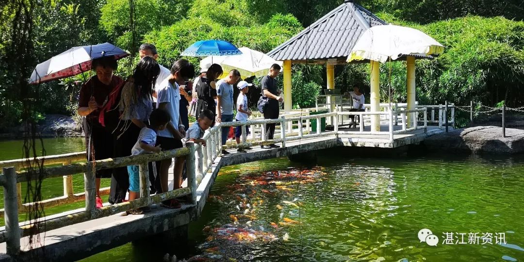 蓝天白云湖面碧波荡漾天然氧吧,湖光岩大自然天然氧吧