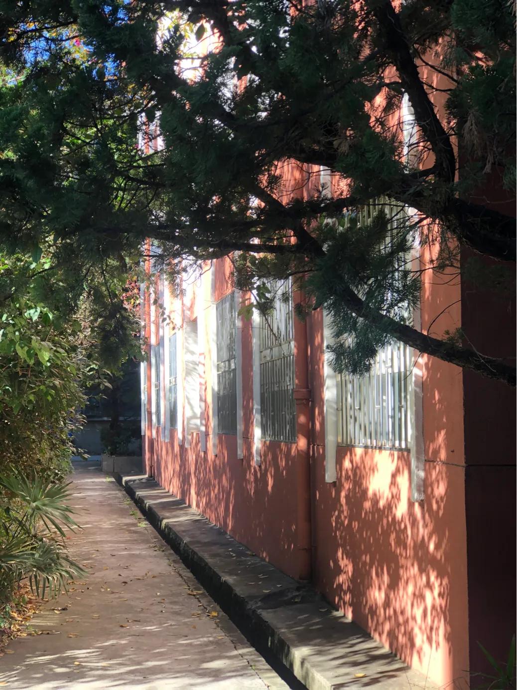 不应该消失京剧完整版,昆四中西山学校