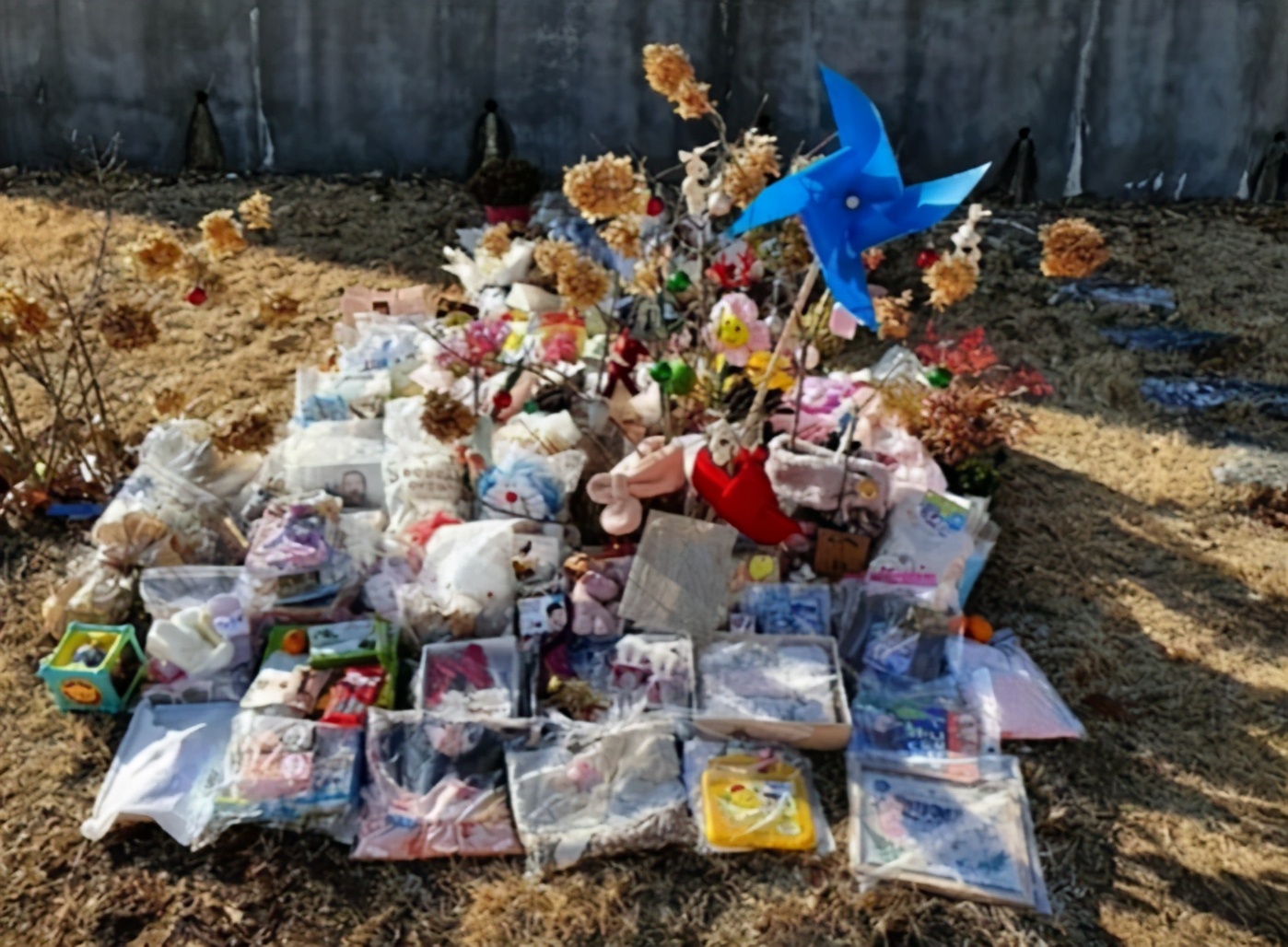 韩国一岁女孩遭养父母虐待,韩国女童被养父养母虐待致死