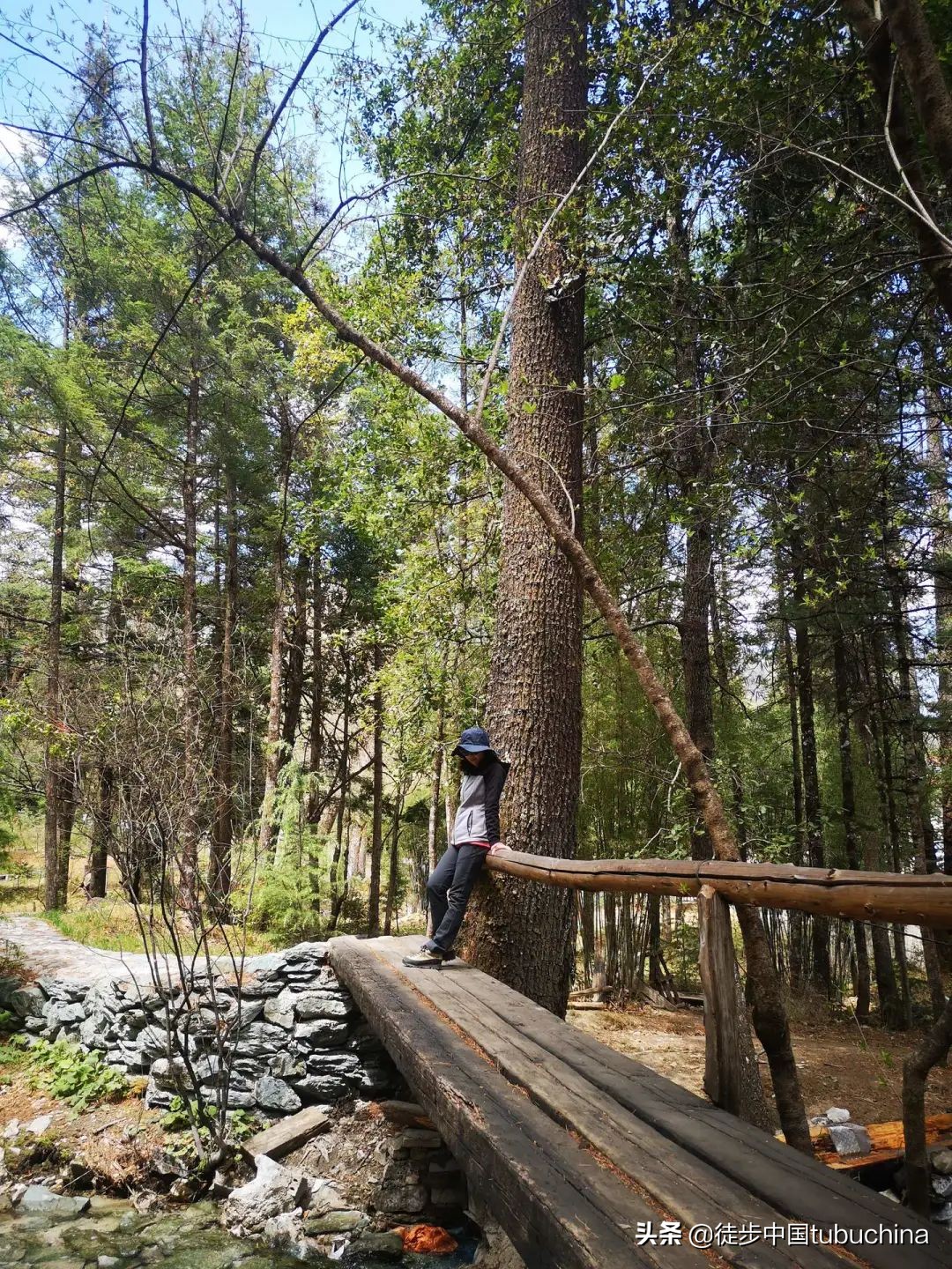 给我一个机会去爱你,给我一个机会让我去爱你