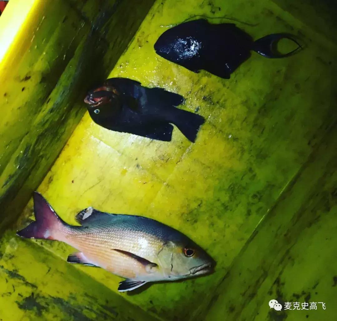 2000元玩马尔代夫,冷门又便宜马尔代夫