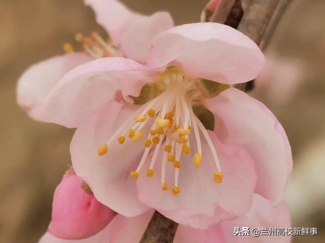 原来你是这样的兰州财经大学~
