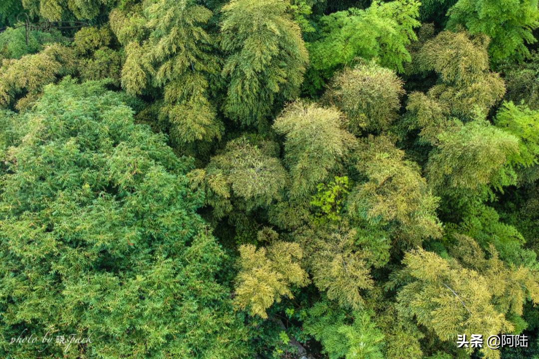 上虞有什么高档的宾馆,上虞宾馆几星级