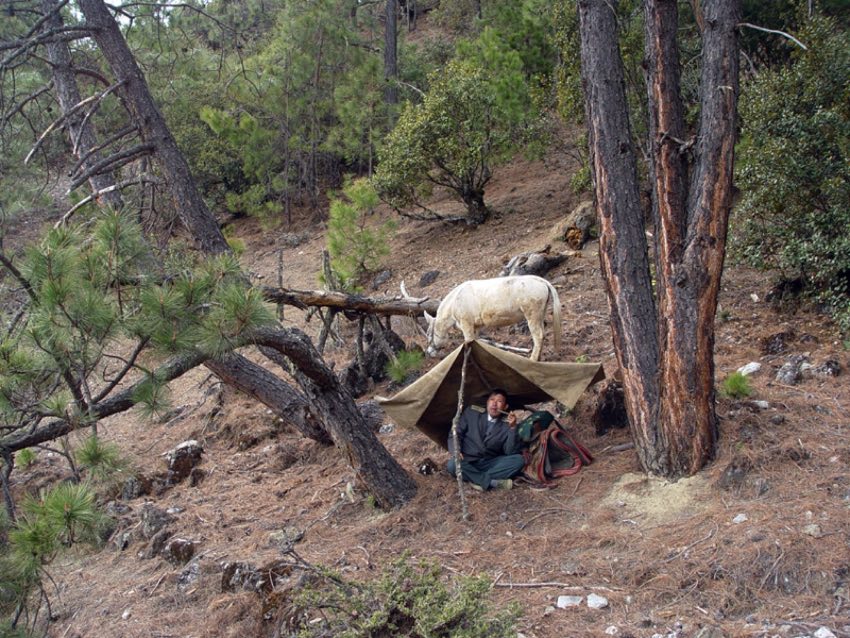 四川老汉露宿深山32年，2005年受邀去欧洲演讲，84个国家代表泪目