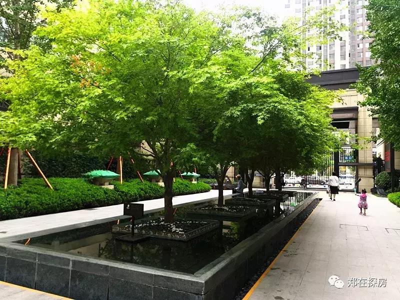 康桥再别康桥,康桥再会吧与再别康桥的区别