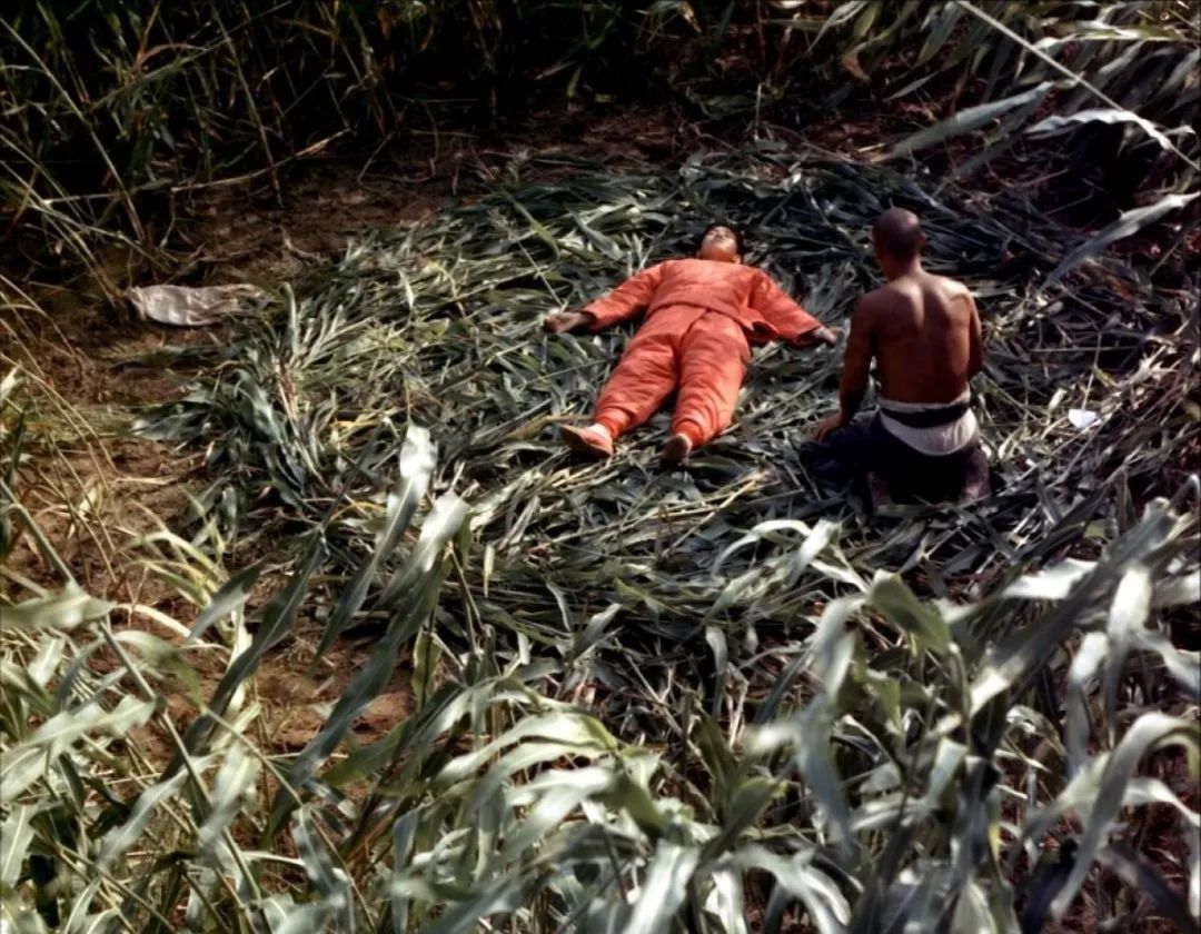 莫言最近现状,莫言现在怎么样了