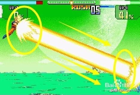 龙珠游戏进化史对比,龙珠为什么没有格斗游戏