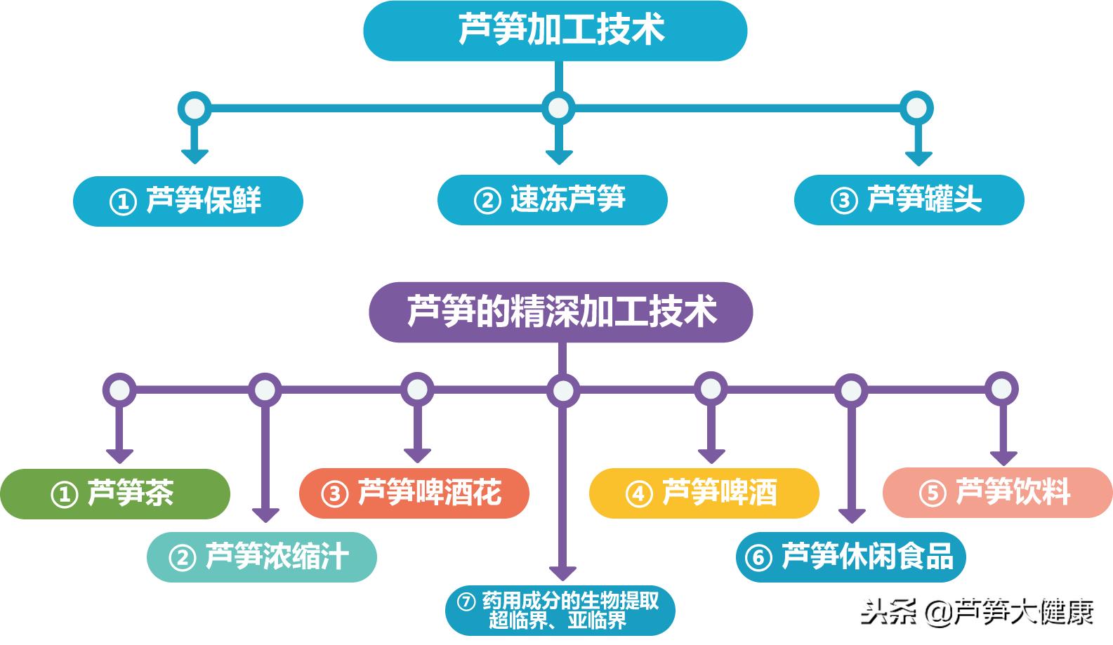 芦笋的生产技术要点,芦笋的生产技术