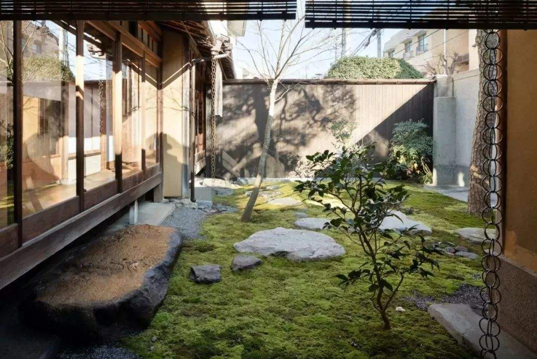 一楼蚊子特别多怎么除蚊子,一楼下水道蚊子怎么消除