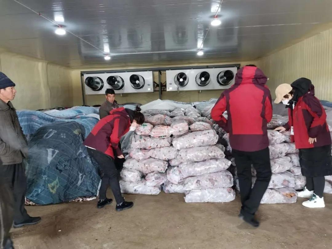 农产品滞销便宜卖不掉,三农农产品现状