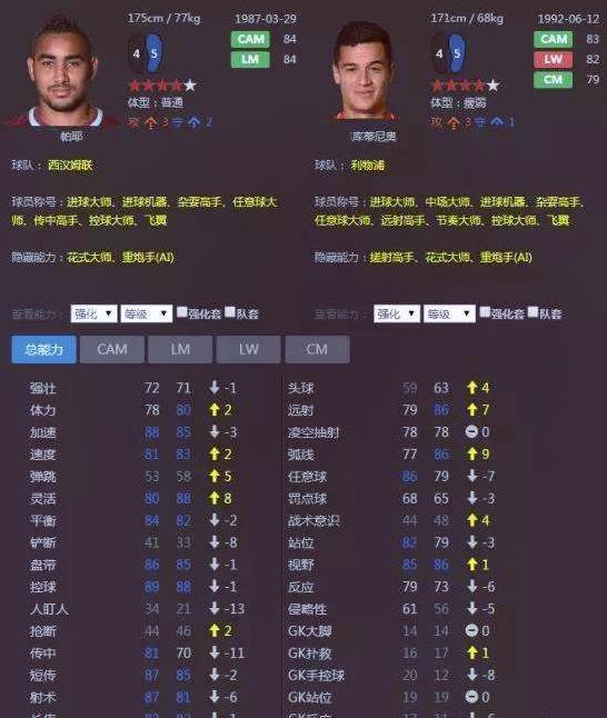 帕耶c罗欧洲杯夺冠,欧洲杯决赛帕耶弄伤c罗视频