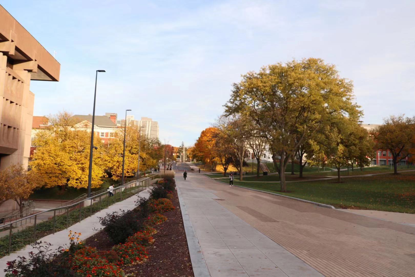 德克萨斯大学达拉斯分校介绍,德克萨斯奥斯汀分校申请条件