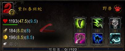 魔兽世界怎么看宠物打了多少伤害,魔兽世界看装备