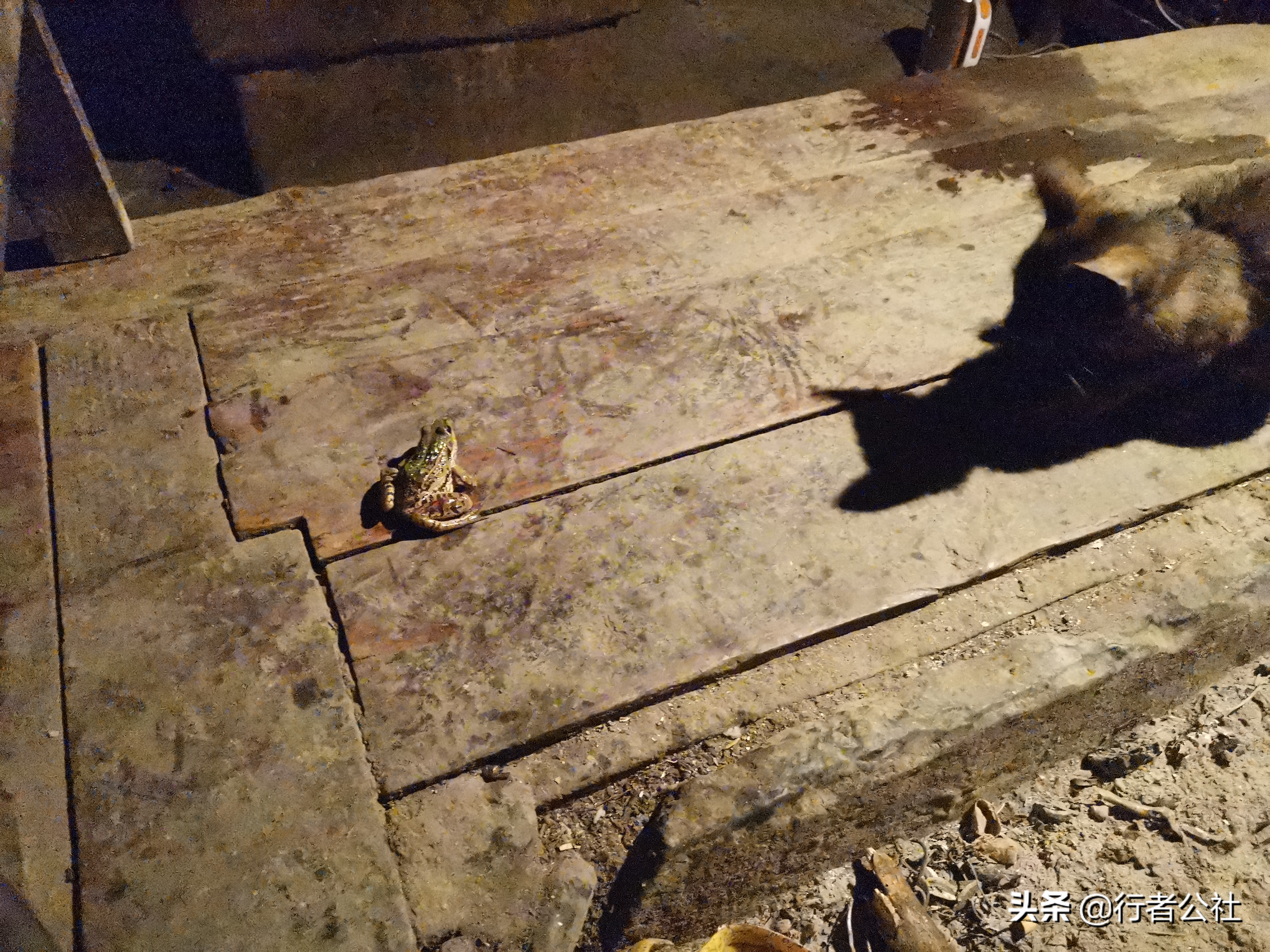 雨后青山云雾缭绕温度宜人,雨后青山云雾缭绕