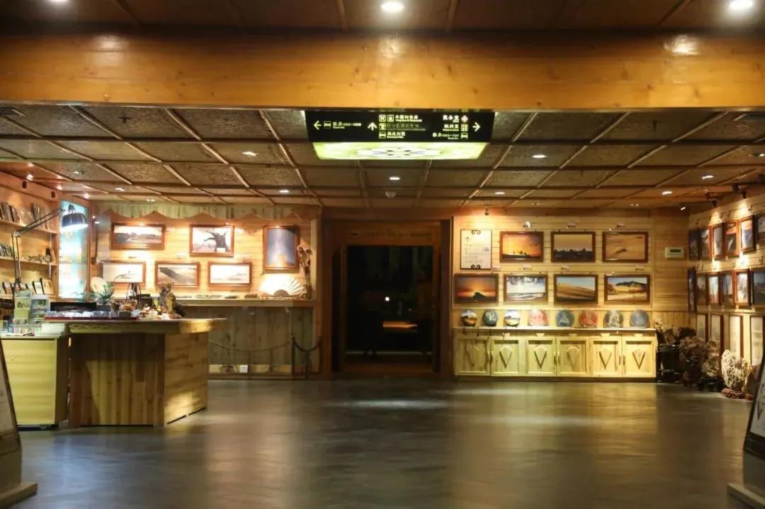 敦煌感受中国之美,东亚文化之都情系敦煌