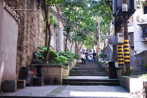 向佐郭碧婷街边偶遇,向佐郭碧婷郊外游玩照片