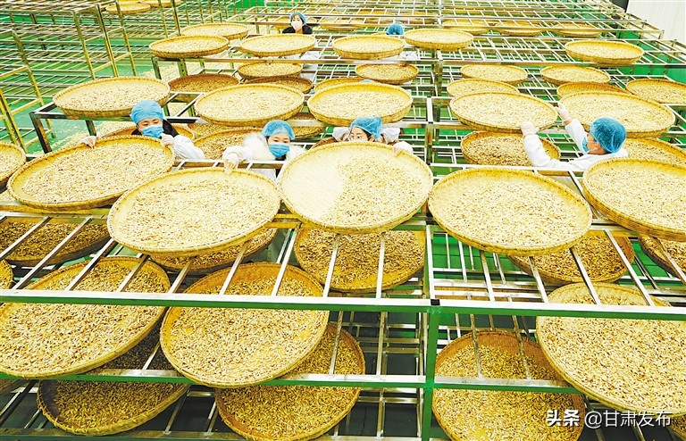 关于脱贫攻坚决战决胜之年的文章,决战决胜脱贫攻坚年