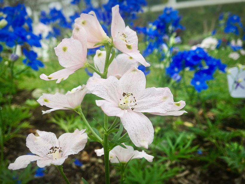 横琴相思瀑布要门票吗,相思瀑布珠海附近景点