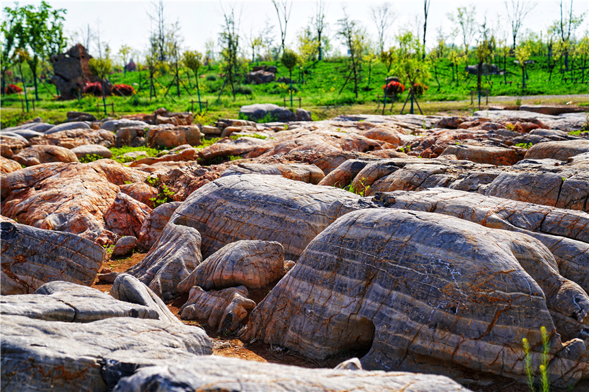 我和宿州有个约会，一场花事，一次慢旅行，探寻最烟火的宿州味道