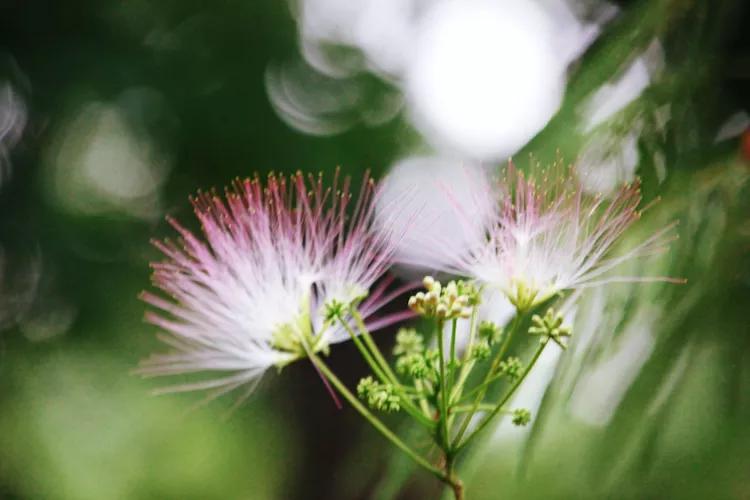 尼康入门单反,单反快速入门攻略