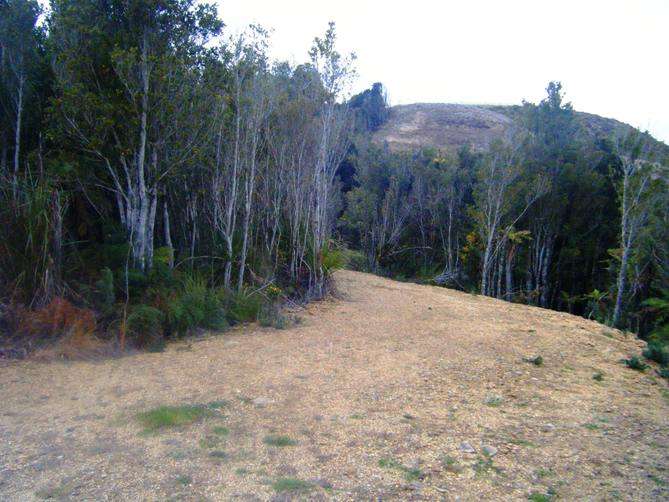 100万人民币在新西兰能买多大房子,100元能在新西兰买些什么