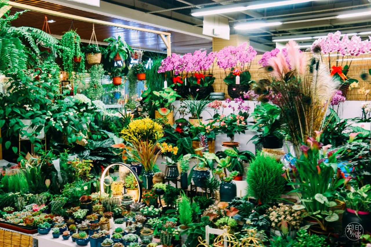 郑州地铁3号线转4号线,郑州地铁5号线景点适合3月打卡地