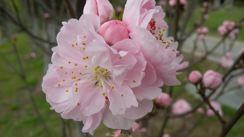 男人越喜欢你越不跟你说话为什么,男人越喜欢你越不和你说话