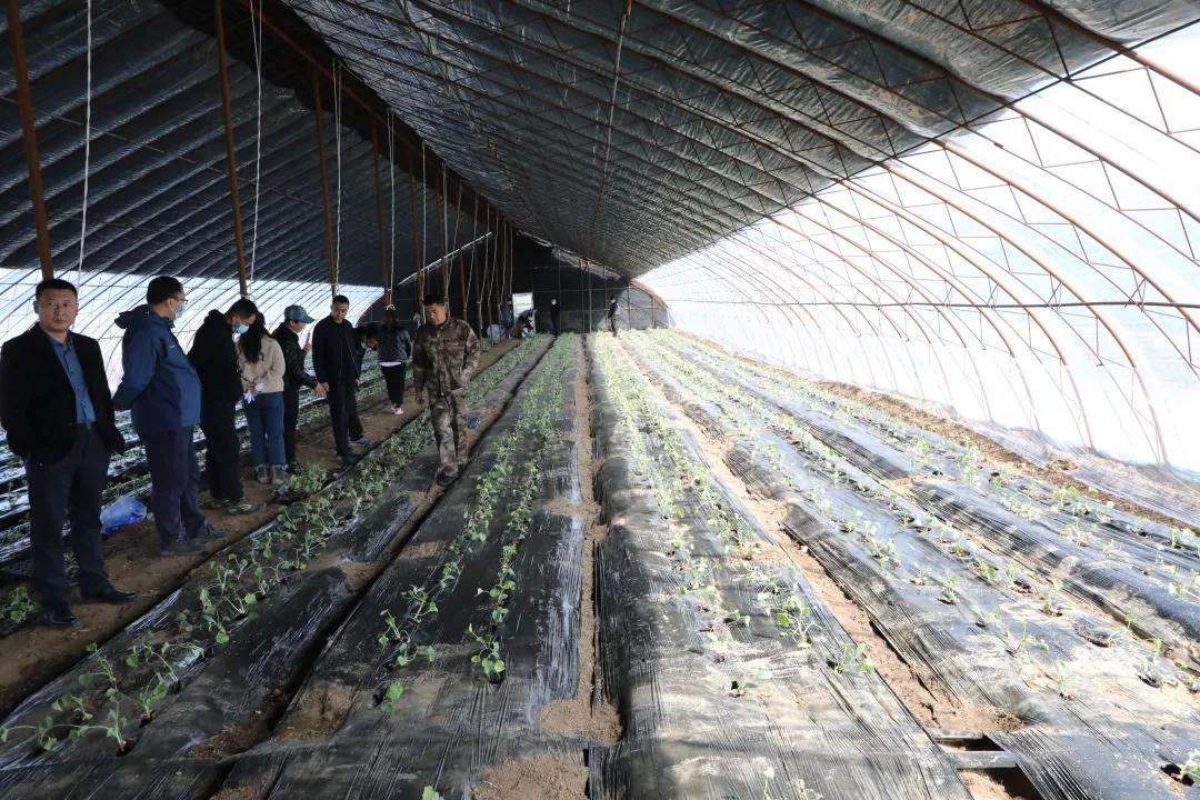 返乡入乡创业创新宣传周实施方案,返乡入乡创业创新政策宣传信息