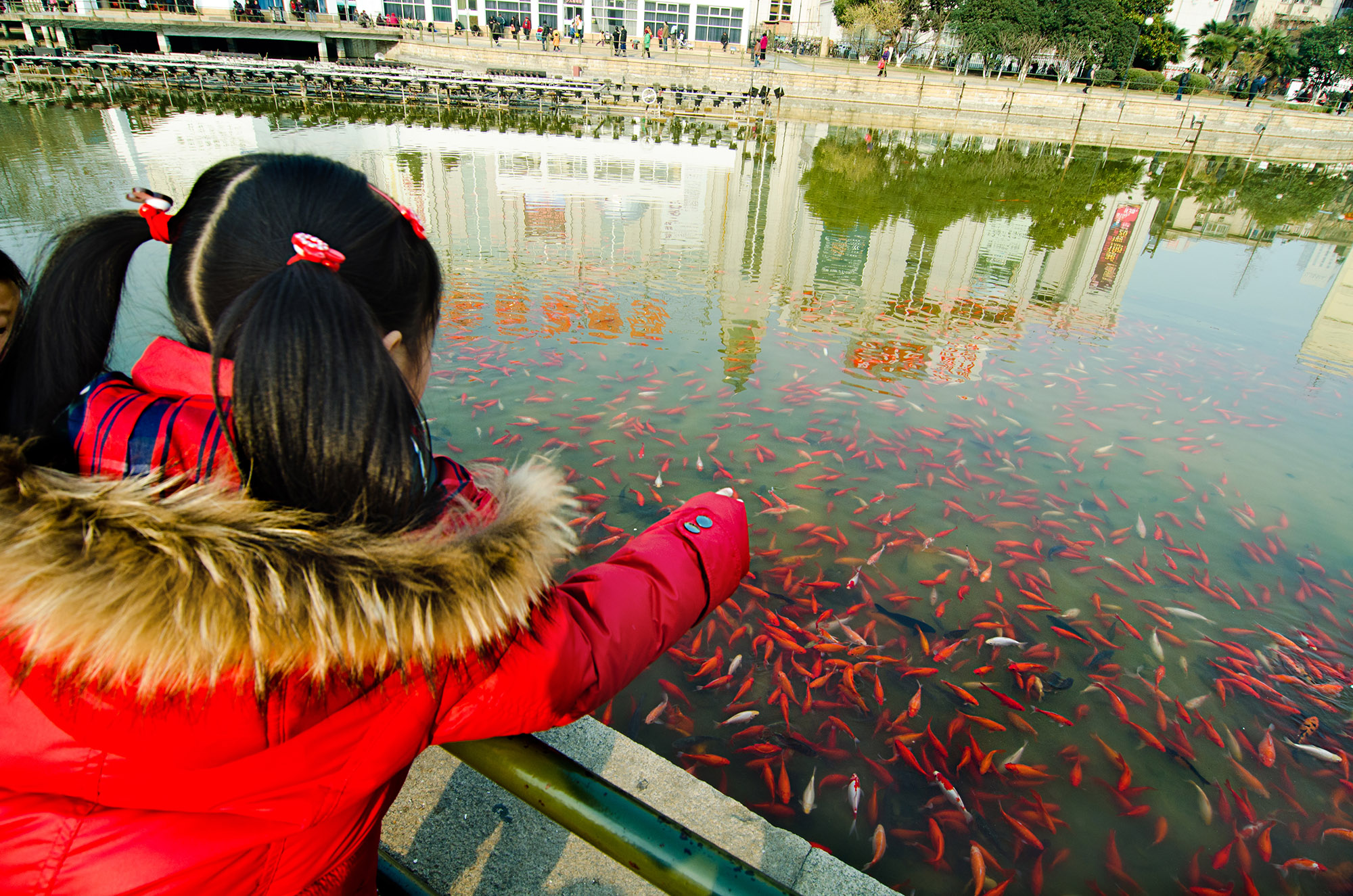 尼康d7000拍摄画面暗怎么调亮,尼康d7000和d700画质对比