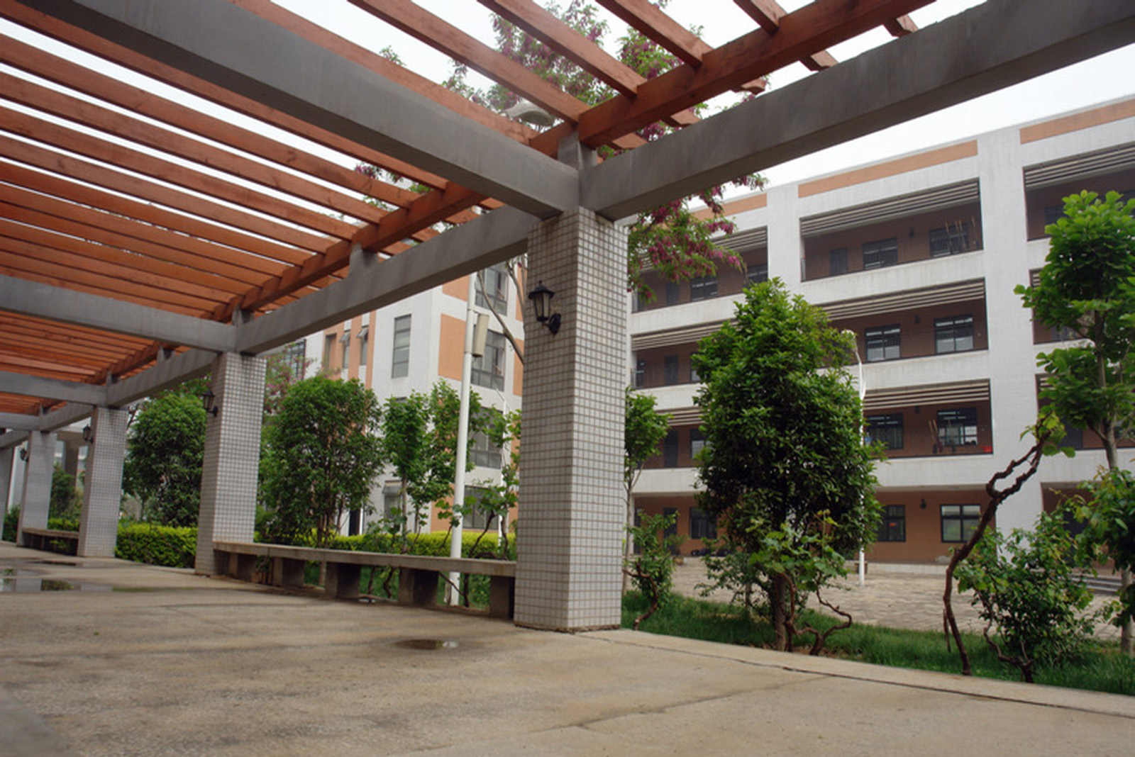 郑州中原实验一中考入郑外,河南省高中郑州外国语学校排名