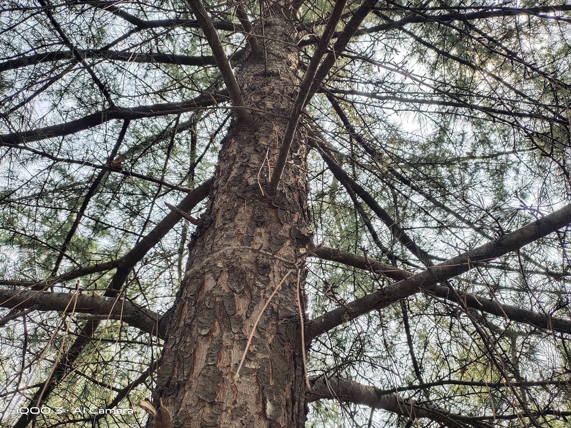 iqoo3使用感受,iqoo3使用体验