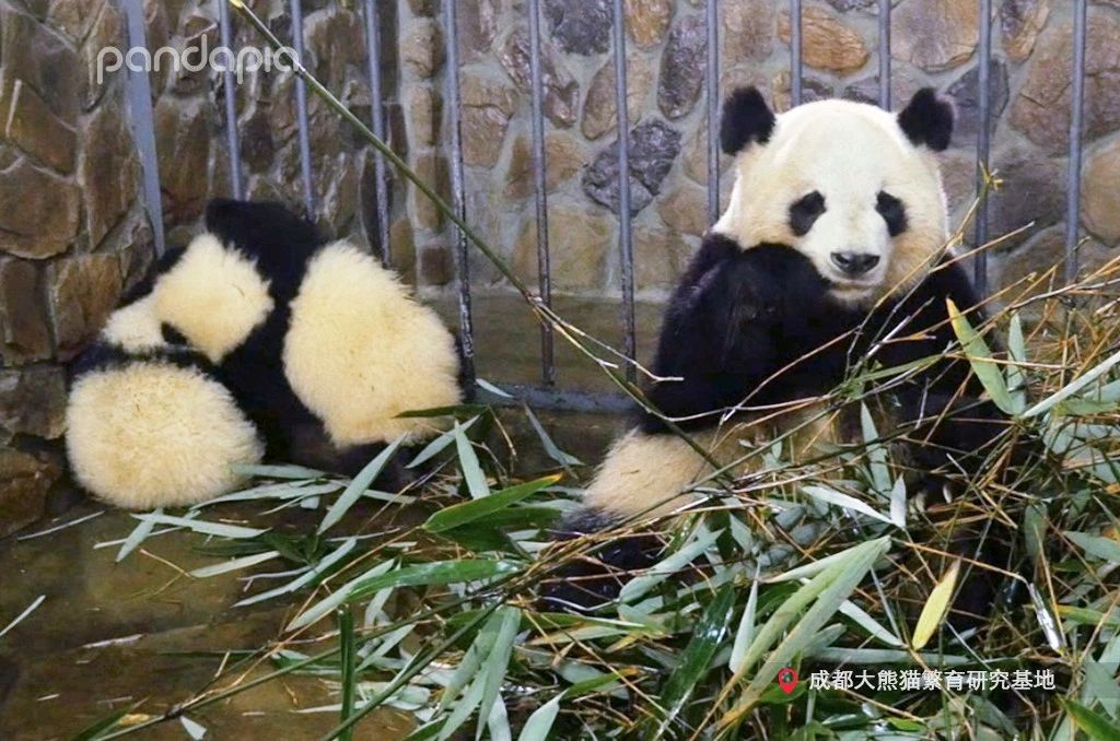 做塑料姐妹,真正的塑料姐妹是什么样的