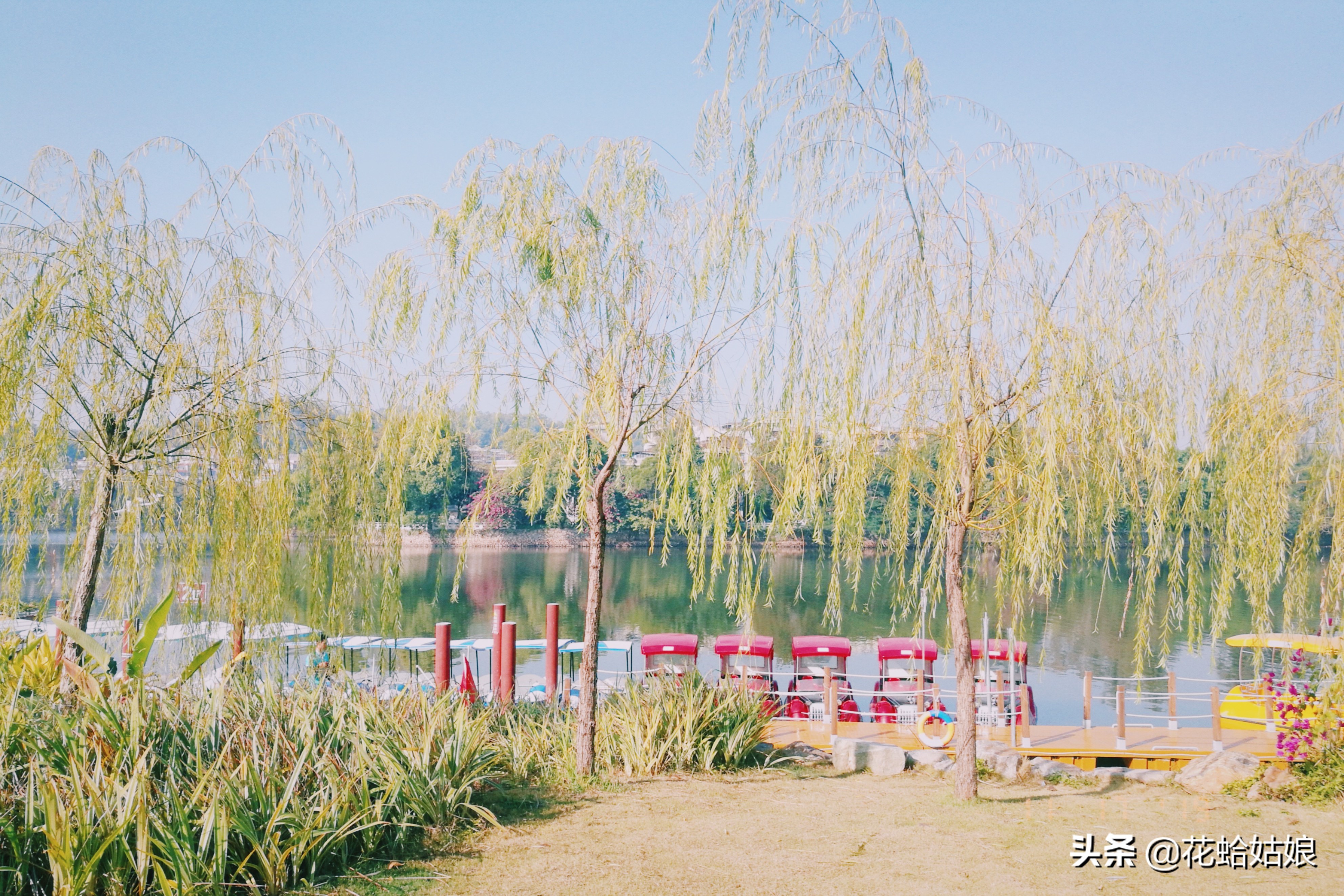 有苎萝西子之美誉的惠州西湖,是国家5*级A**旅游景区,静中带美