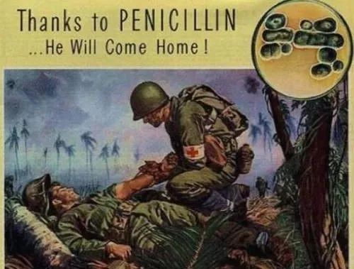 生命赌局——药物研发的冒险历程