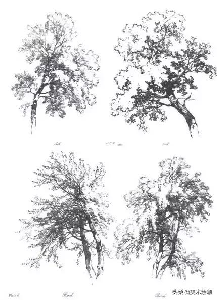 静物素描风景图临摹,简单又好画的彩铅素描风景图