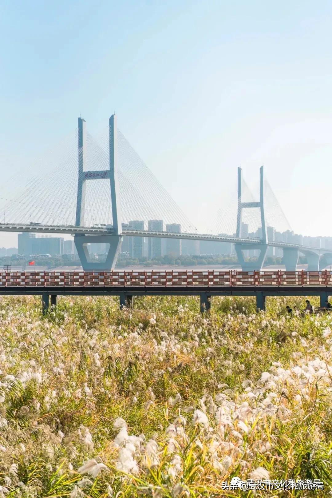 来武汉必须知道的10件事,武汉读大学攻略