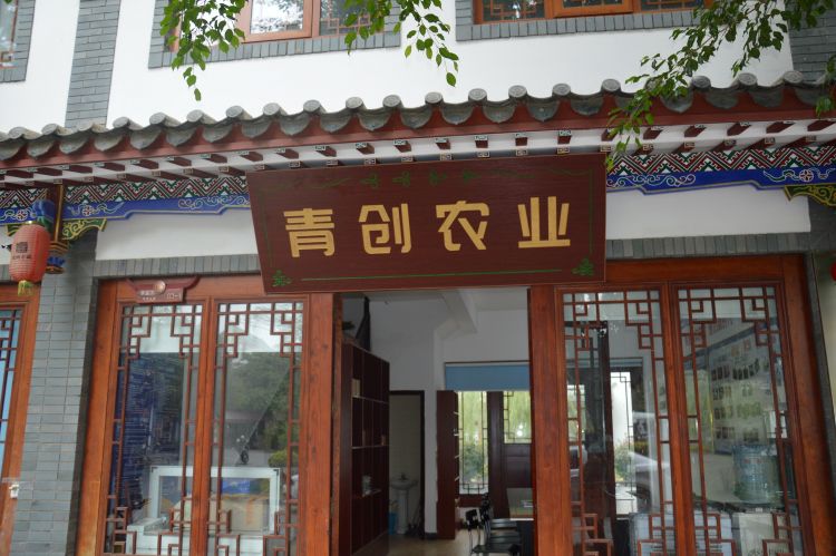 以购代帮助力消费扶贫,以购代捐是消费扶贫吗