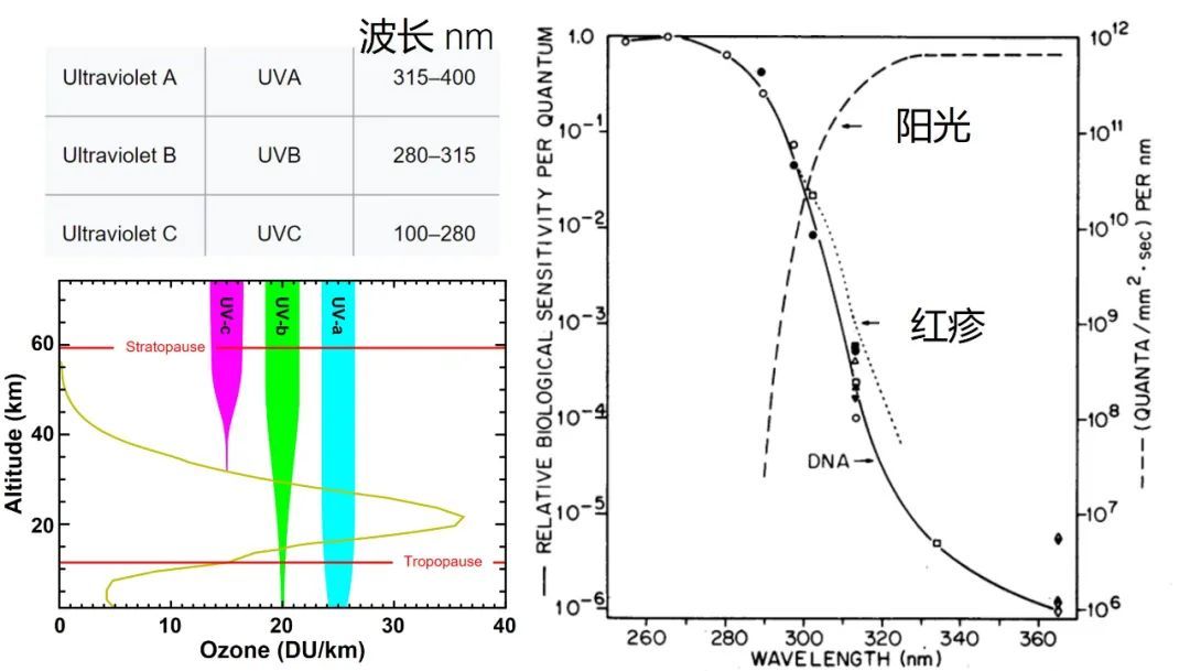 送你养颜古方,送你一套简单有效的美容攻略