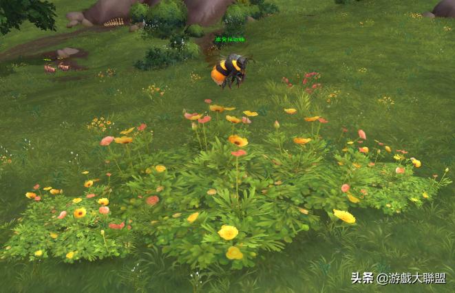 魔兽世界蜜蜂坐骑采蜜蜂路线,魔兽世界蜜蜂坐骑采蜜技巧