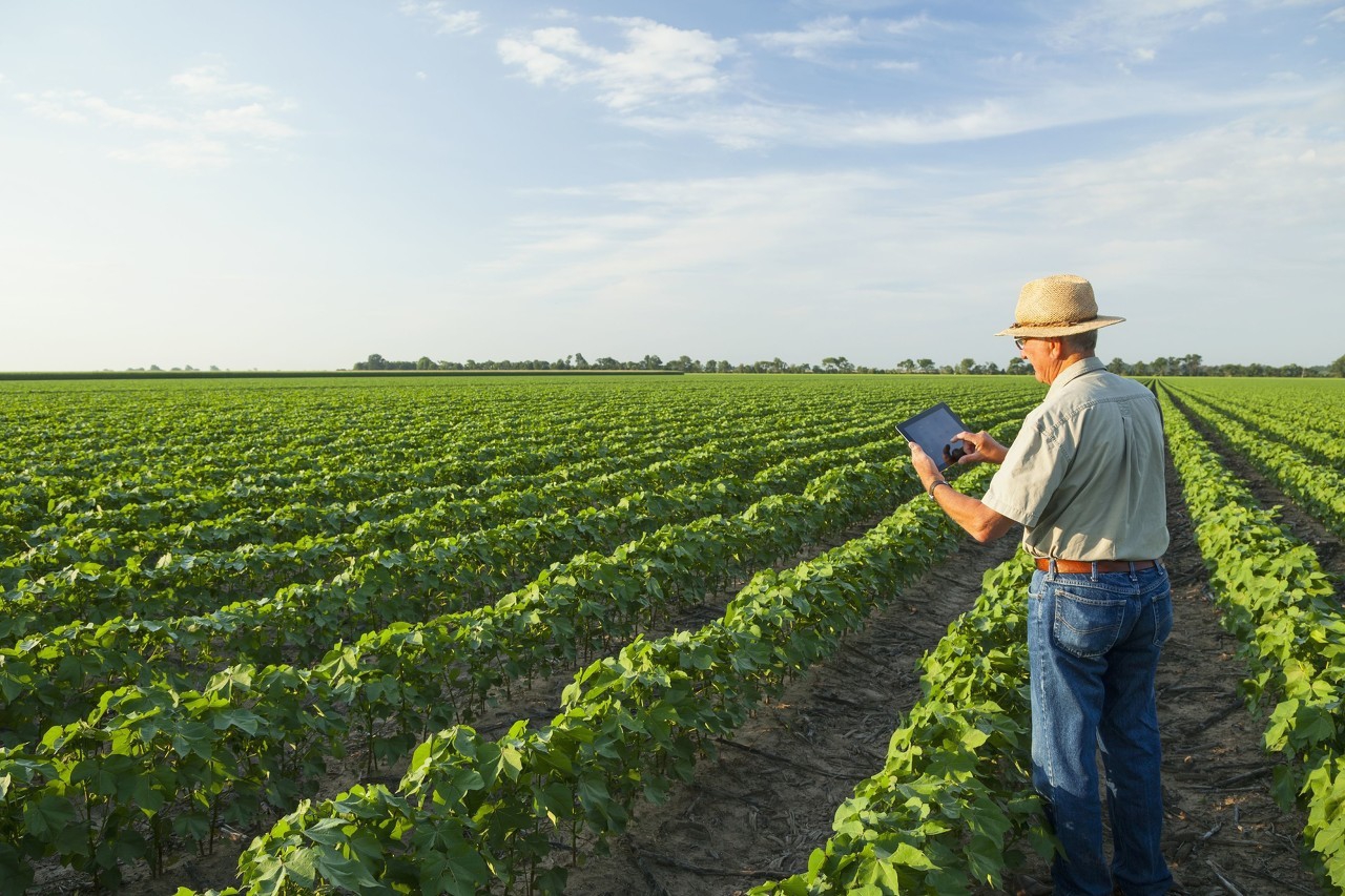互联网农产品出村进城试点工程,农产品出村进城试点工作方案