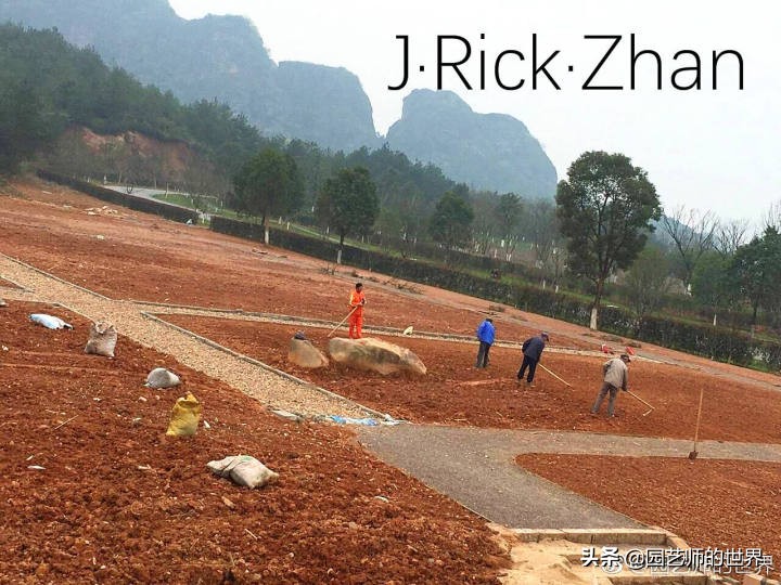 怎样种植草坪技术,果岭草坪的种植养护方法及技巧