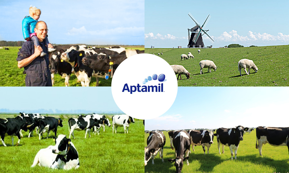 爱他美奶粉国行版好还是经典版好,新生儿爱他美奶粉哪个版本好