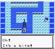 口袋妖怪小科普全集,口袋妖怪初代bug